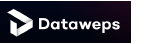 dataweps logo PNG