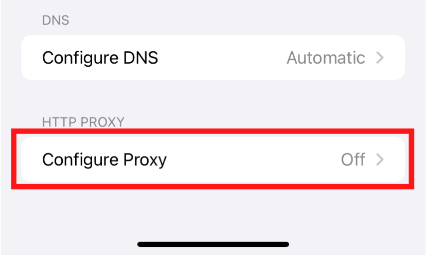 DNS の構成およびプロキシ設定の構成画面。