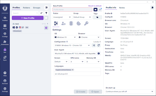 Computer profile customization interface with system and browser settings.