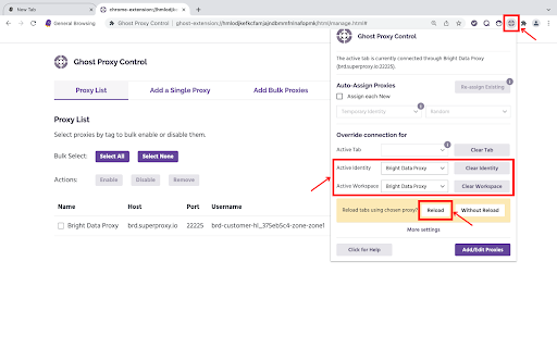 Browser extension showing proxy control settings and options.