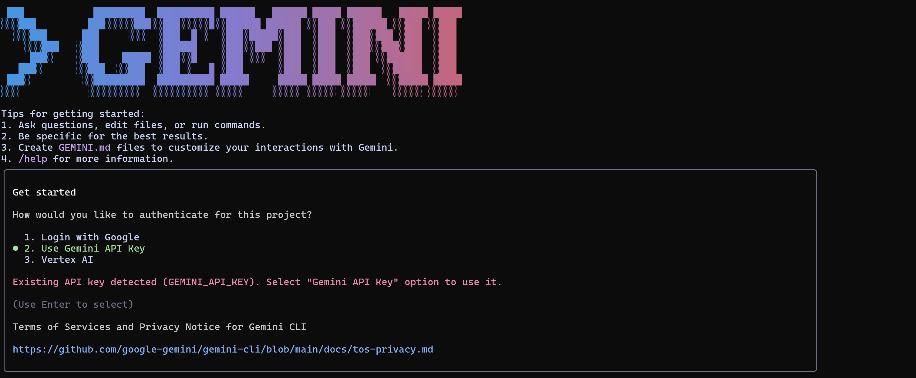 Gemini CLIの認証ビュー
