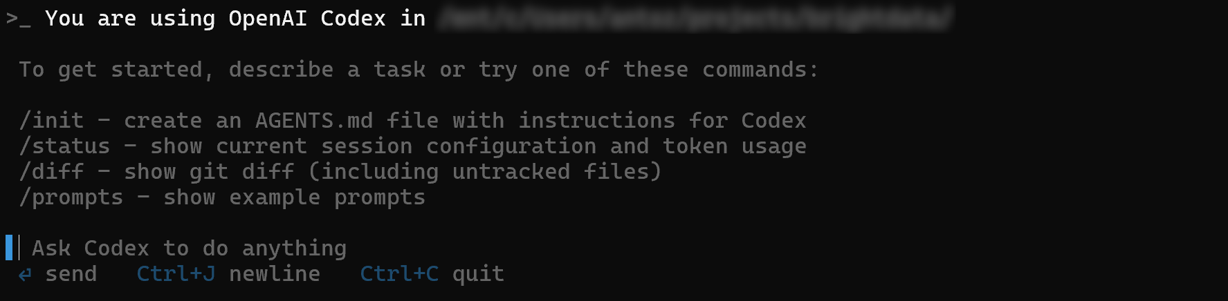 OpenAI Codex CLIのプロンプト表示