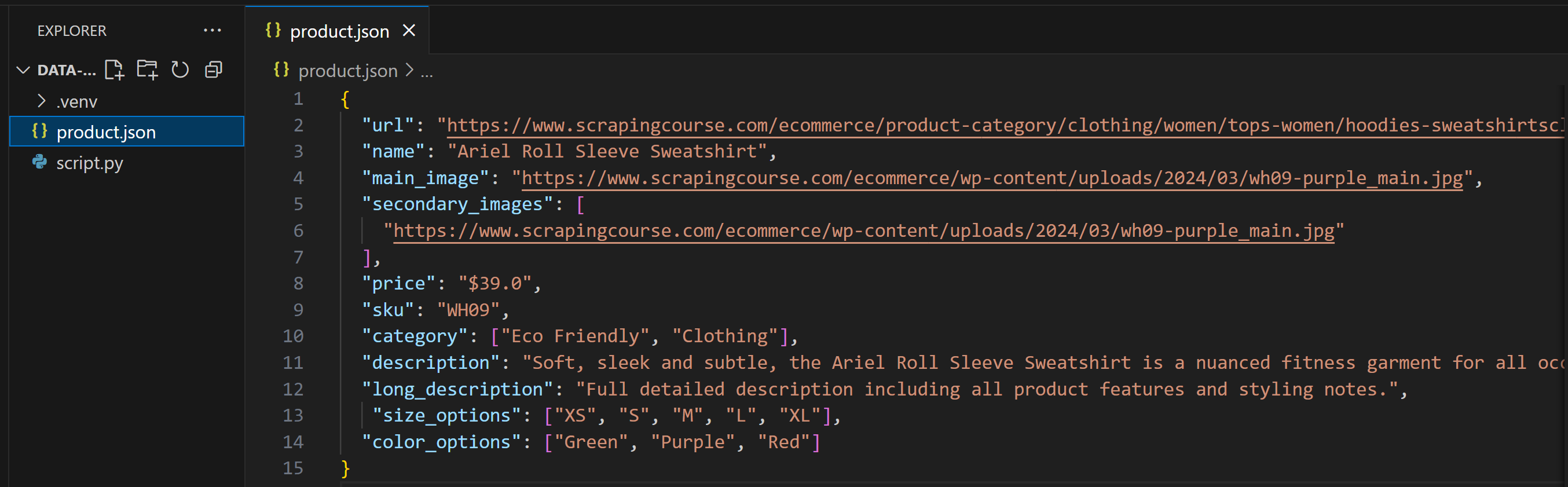 The input data from the product.json file