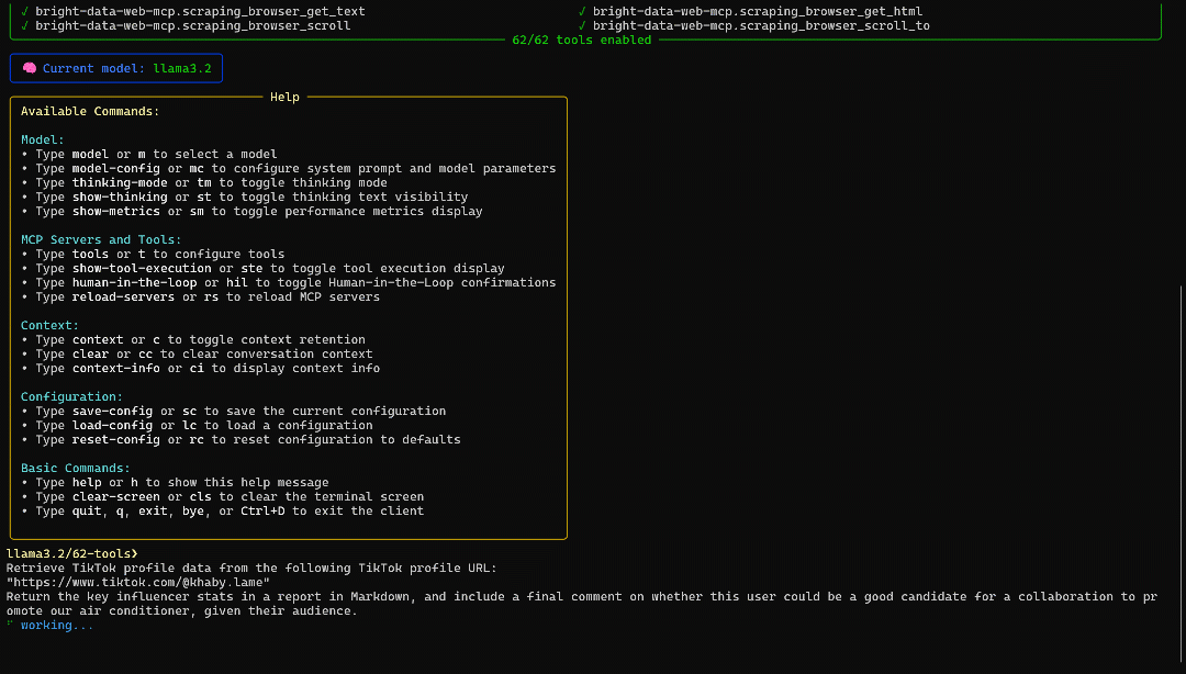 The prompt execution in ollmcp