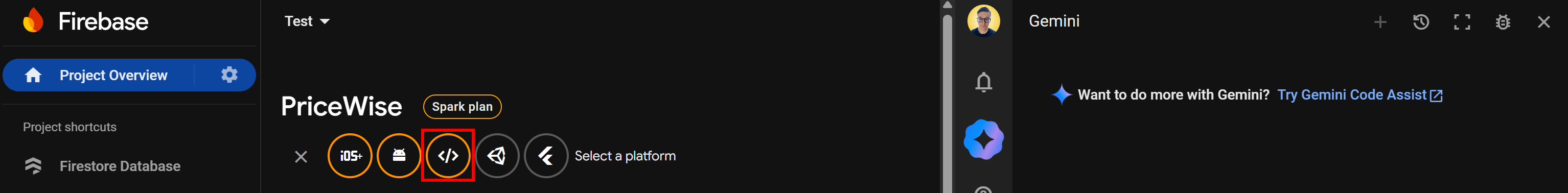 Pressing the web app icon